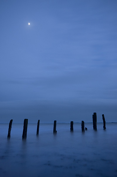 Towards the Moonlight 